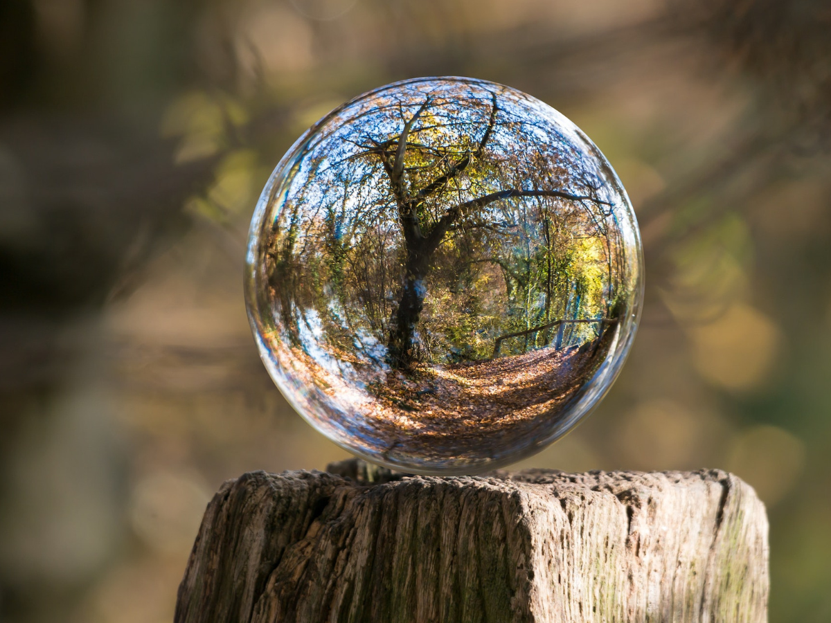 Environmental Benefits of Solid Wood Furniture