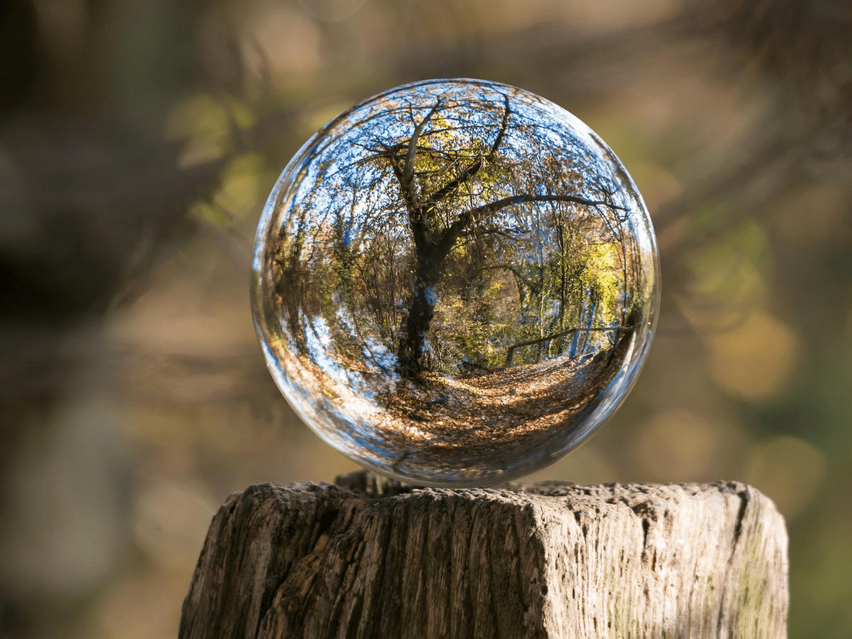 Environmental Benefits of Solid Wood Furniture