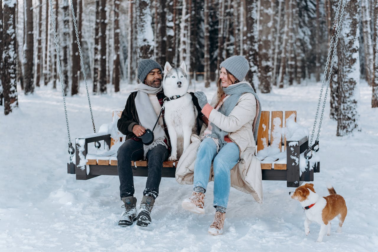 Couple Sitting on a Wooden Bench with their Dogs in Winter