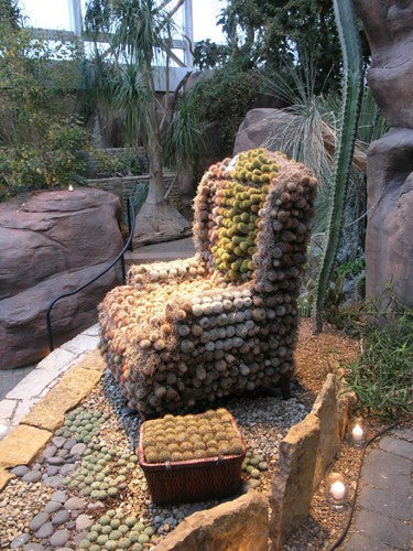 Custom Franklin Park Conservatory Cactus Chair