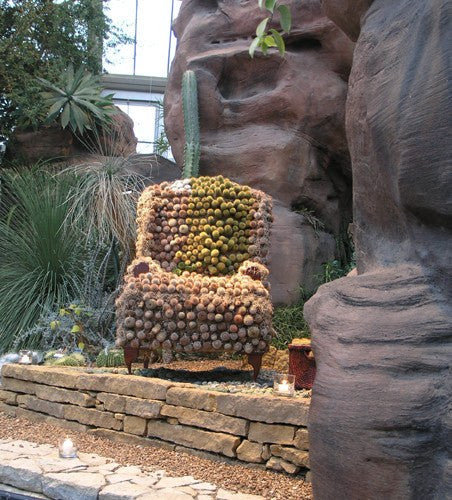 Custom Franklin Park Conservatory Cactus Chair