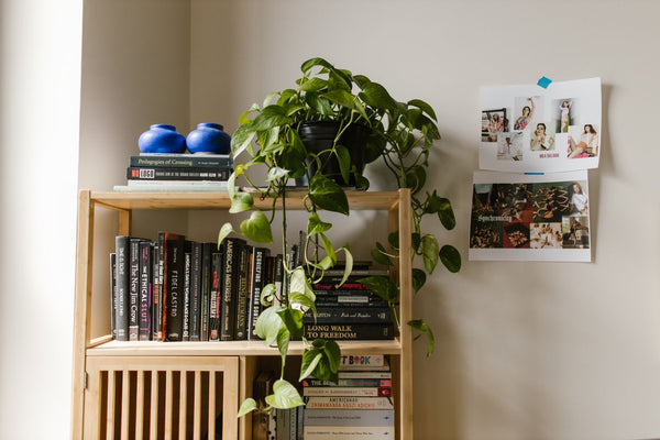Bookshelf Styling Guide: How to Style a Solid Wood Bookcase