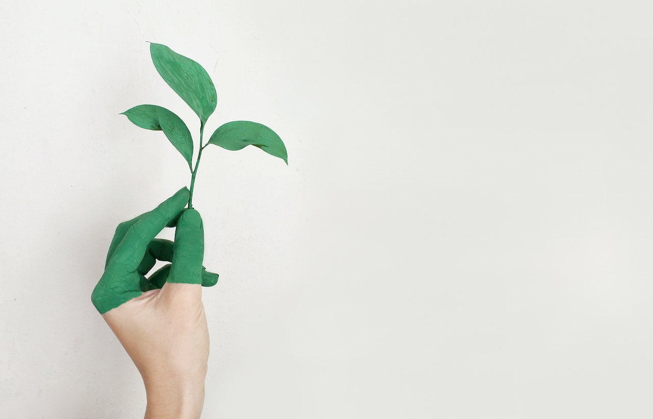 The Sustainability in the Furniture Industry