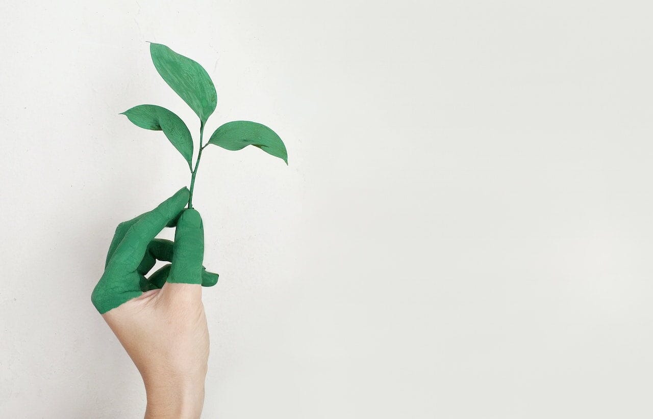 Sustainability in the Furniture Industry