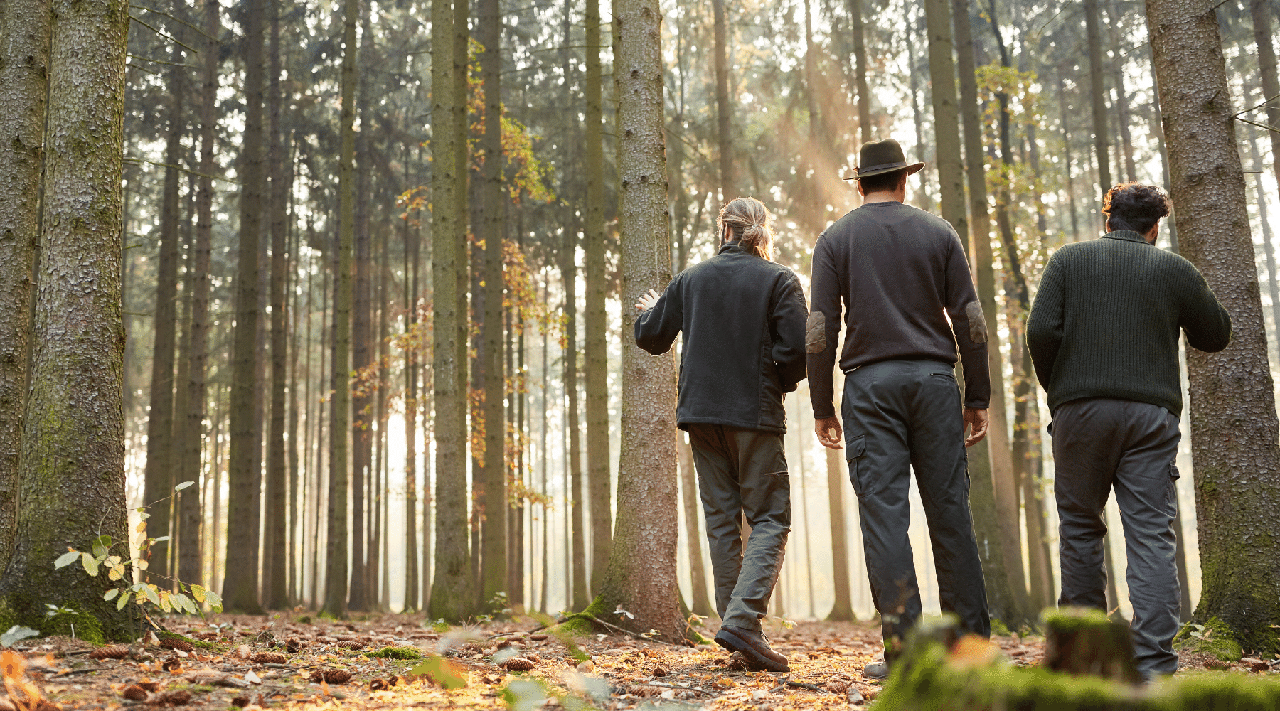 Three-foresters-in-the-woods-make-a-tour-together