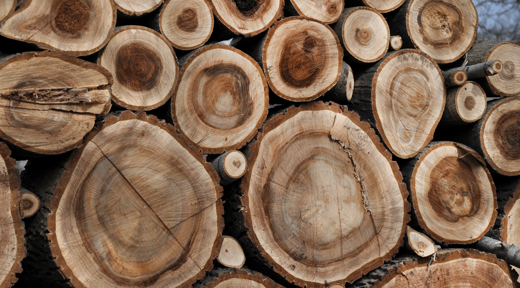 What is Walnut Wood? – T.Y. Fine Furniture