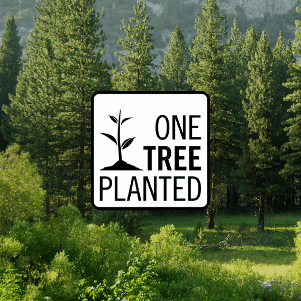 A forest of tall evergreens surrounds a sign reading "Donation of a Tree" by One Tree Planted, featuring an image of a young tree sprouting from the ground.